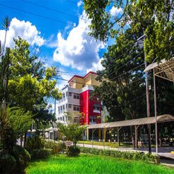 UNIVERSITY OF MINDANAO